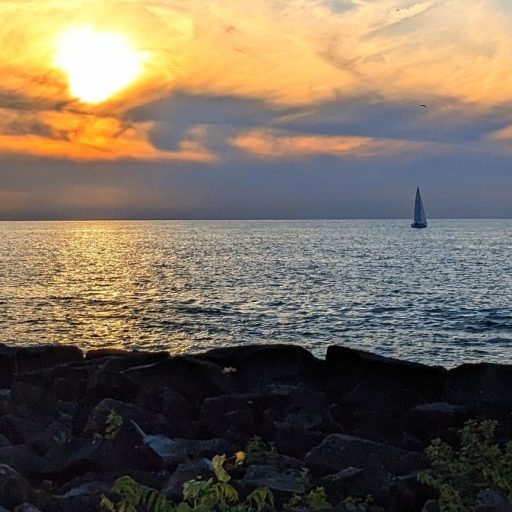 View of Lake Erie from Edgewater Park, June 2024 (Photo by D.S. Yarab)