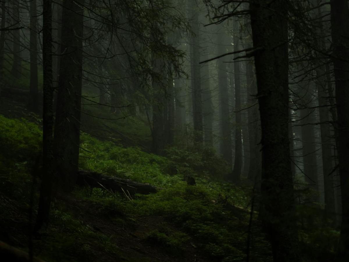 The Ones Who Never&nbsp;Left