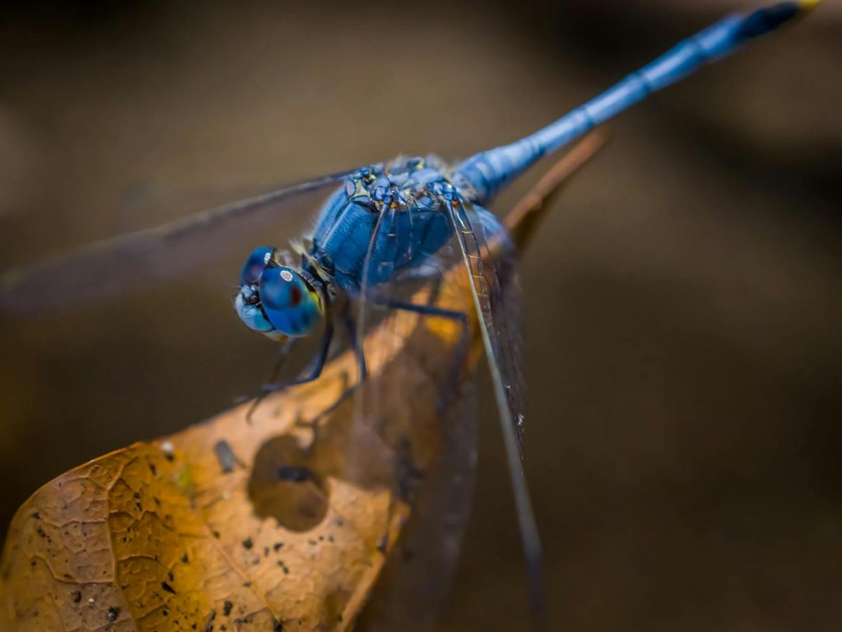 Unaware of Any&nbsp;Sky