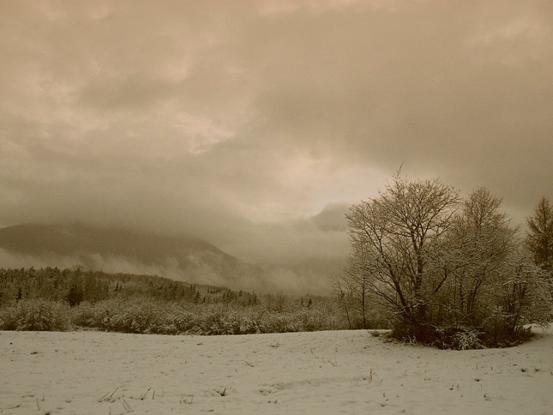 The Cusan Sky